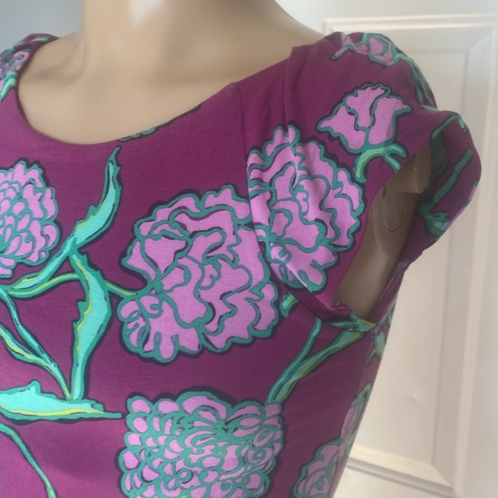 Lilly Pulitzer dress - Picture 4 of 8